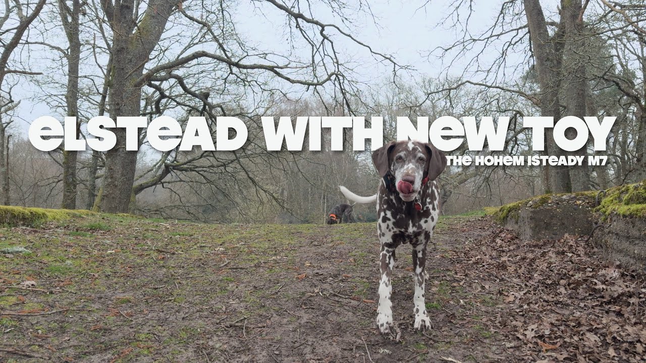 Elstead With Our New Toy