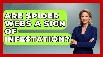 Are Spider Webs A Sign Of Infestation? - Insects and Invaders