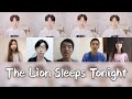 The Lion Sleeps Tonight - Acappella Cover