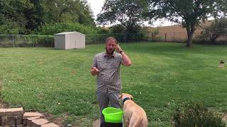 Teaching Ripley to Use an Automatic Ball Throwing Machine