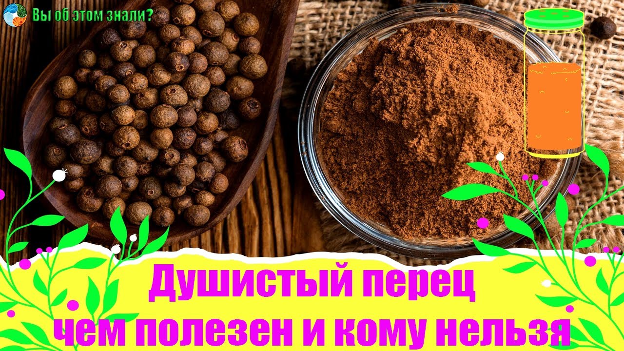 Душистый перец — чем полезен и кому нельзя
