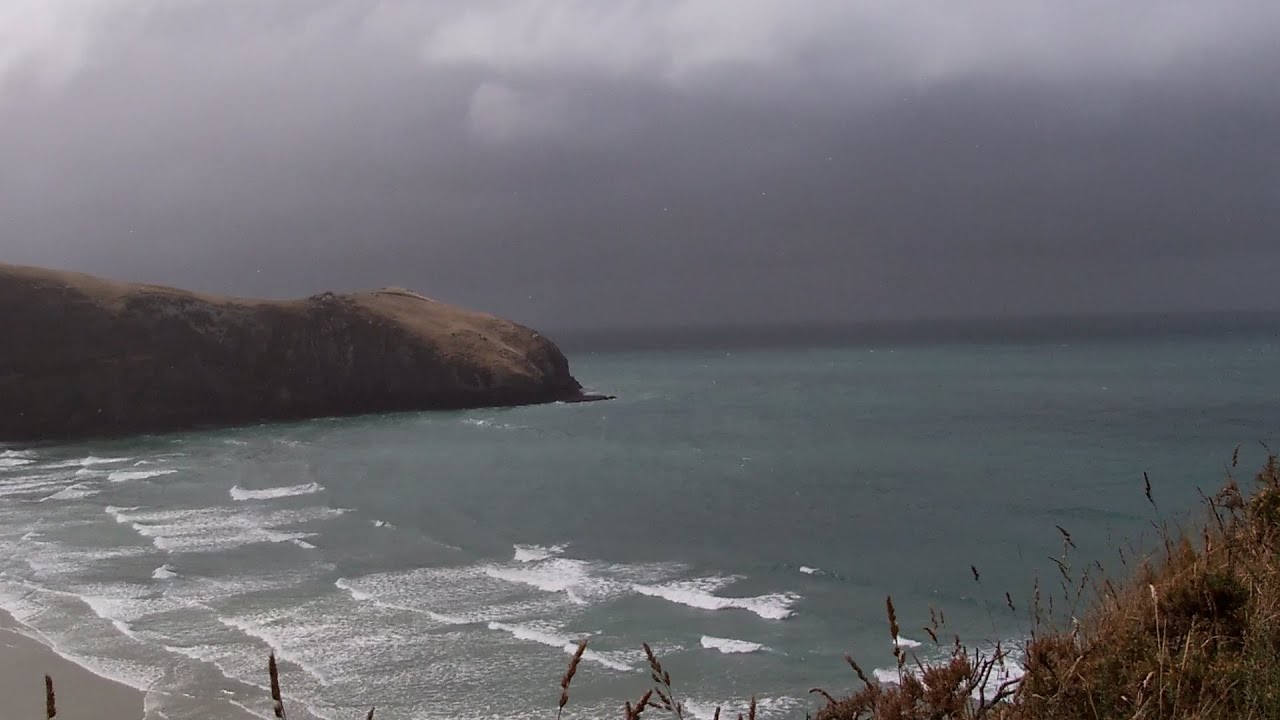 Visiting Dunedin, New Zealand // NCL Spirit Cruise