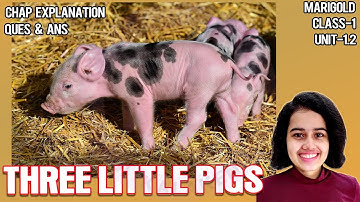 Three Little Pigs Class 1 Unit 1.2 || Story of Three Little Pigs - Marigold English Class 1
