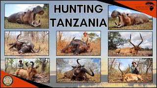 Hunting Buffalo and Hippo in Tanzania