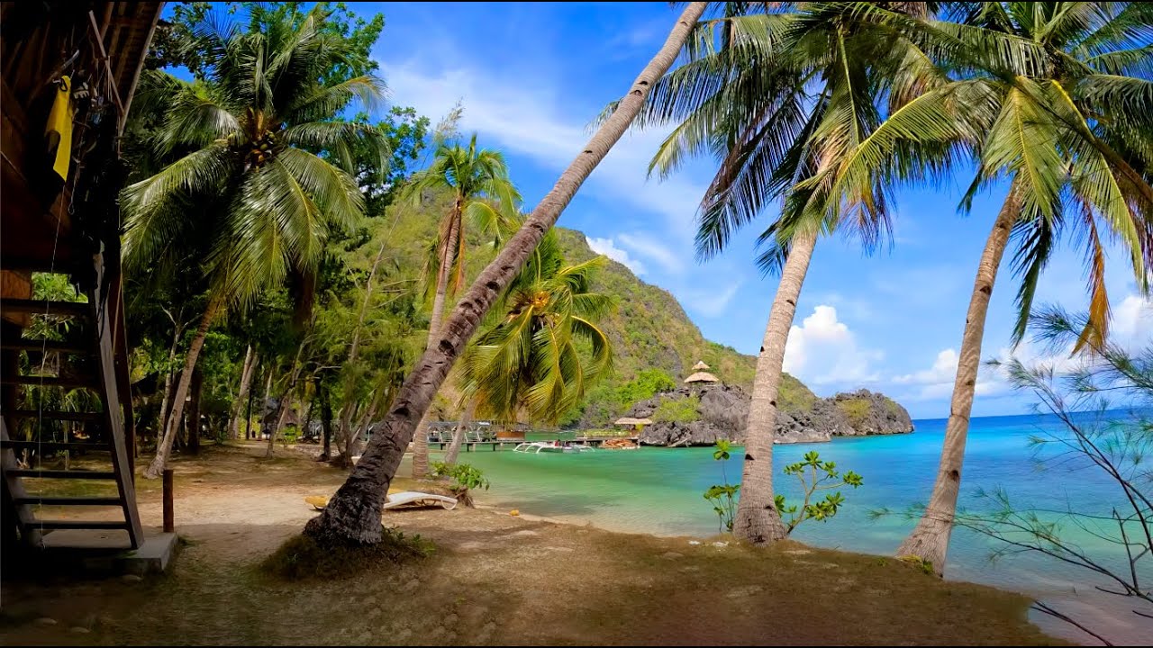 Philippines Scuba Trip  // Sangat Island (15min version)