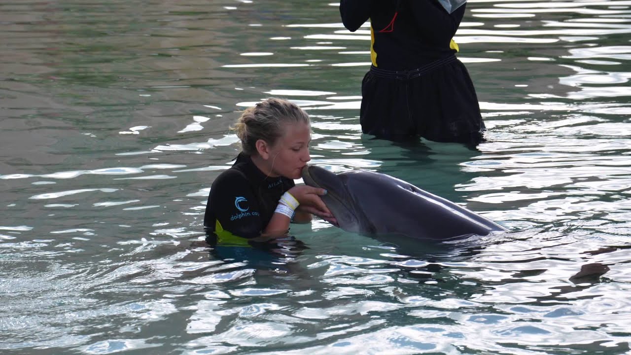 Atlantis Bahamas 2013 - YouTube
