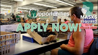 Assembler/Packager 1