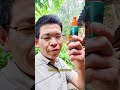 Top Choice for Mosquito-Free Summer: Ultimate Repellent Liquid
