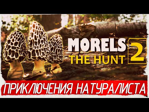 Видео: ПРИКЛЮЧЕНИЯ НАТУРАЛИСТА - Morels: The Hunt 2 [Обзор / Первый взгляд]