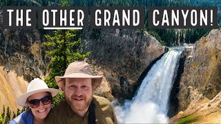 Yellowstone's Grand Canyon and wildlife in Hayden Valley - North and South Rim