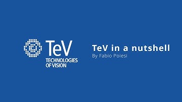TeV in a Nutshell – Inside FBK’s Technologies of Vision Research Unit