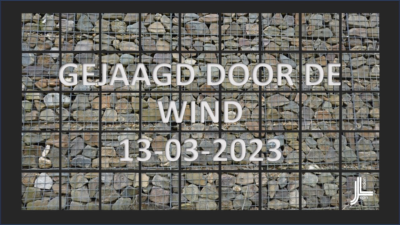 JL GEJAAGD DOOR DE WIND DOOR BOS EN HEIDE 13-03-2023 - YouTube