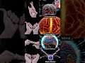Yogmudra #mudra #heart #pressure #constipation  #viralvideo #100k #ytshorts #goviral #shiva #shorts
