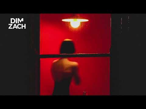 Andy Williams • Love Story (Dim Zach Disco Mix)