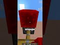 La Mejor Decoración De Minecraft 😱 #minecraft #shorts