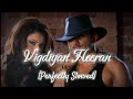 Vigdiyan Heeran| perfectly slowed reverb song | vigdiyan heeran lofi song | ‎@Souravfeelmusic