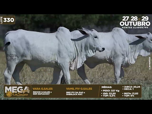 LOTE 330   MFBN 11298 10759