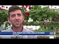 Local nurseries see economic boom from first weekend of Spring