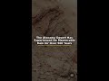 The Atacama Desert Has Experienced No Measurable Rain for Over 500… #Shorts