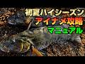 初夏アイナメはこれを知ればさらに釣れる！初夏シーズンでおさえておくポイント＆攻略のキモを基礎から徹底解説！