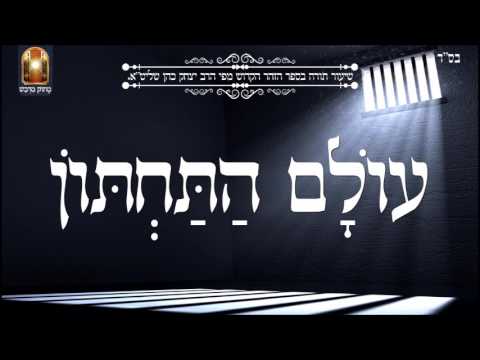 וִידֵאוֹ: הלוויה פרחונית. הלוויית פרחים של בובת ברבי, ציורים של פייהאנג הואנג