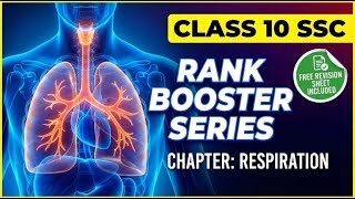 Class 10 Respiration | Rank Booster | Fast Revision + Important Questions
