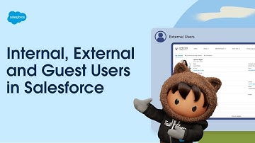 Internal, External, and Guest Users in Salesforce