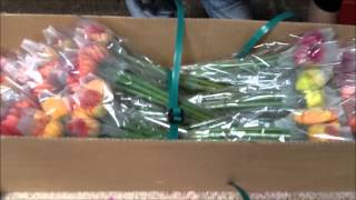 Flowerbuyer.com - Gerbera Large - Perfect Packing