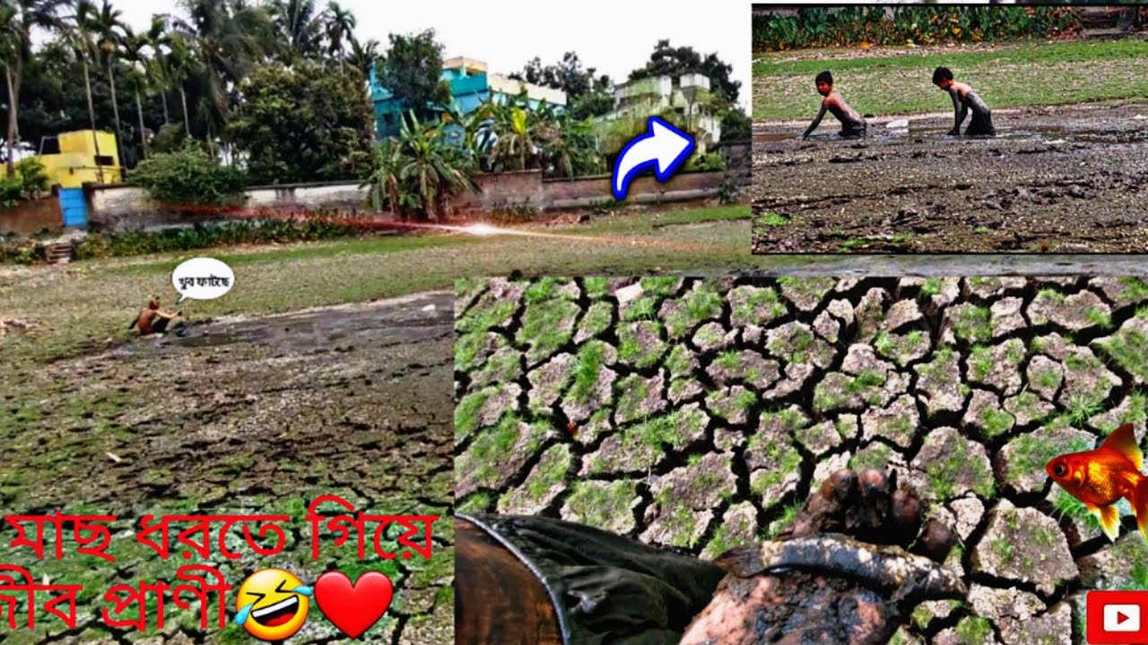 #শোল মাছ ধরতে গিয়ে একটি অদ্ভুত প্রাণী#