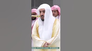 سورة التين بتلاوة إبداعية من الحرم المكي فضيلة الشيخ د.الوليد الشمسان #إمام_الحرم_المكي