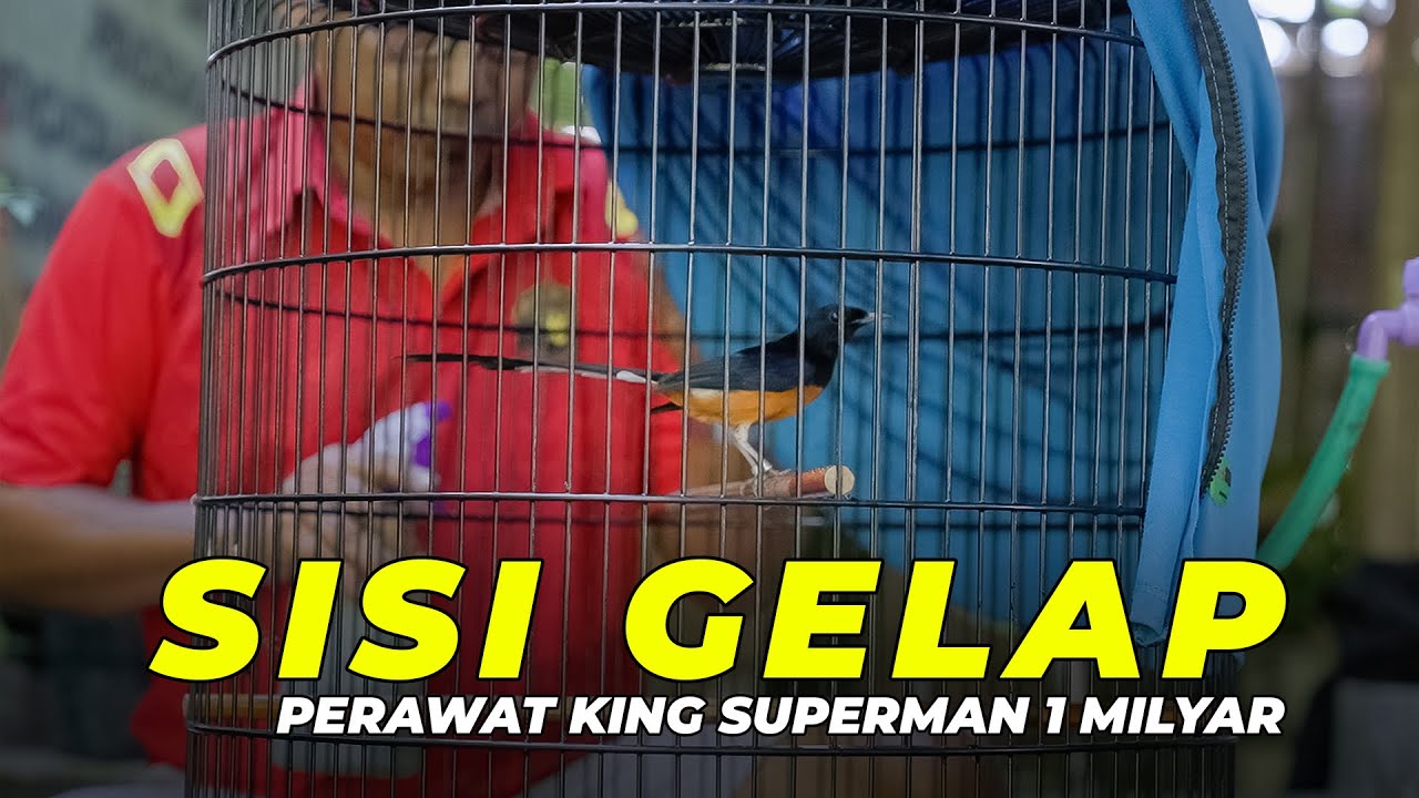 Sisi Gelap Perawat King Superman 1 Milyar