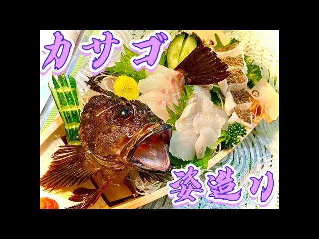 男のロマン！舟を購入！釣り大好き料理素人が【舟盛り】に挑戦してみた