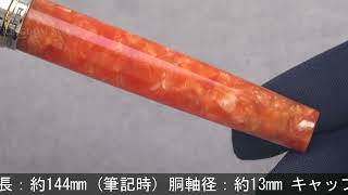 デルタ　ビンテージ　コラッジオ　万年筆 DELTA デルタ 万年筆 ビンテージコレクション コラッジオ F - YouTube