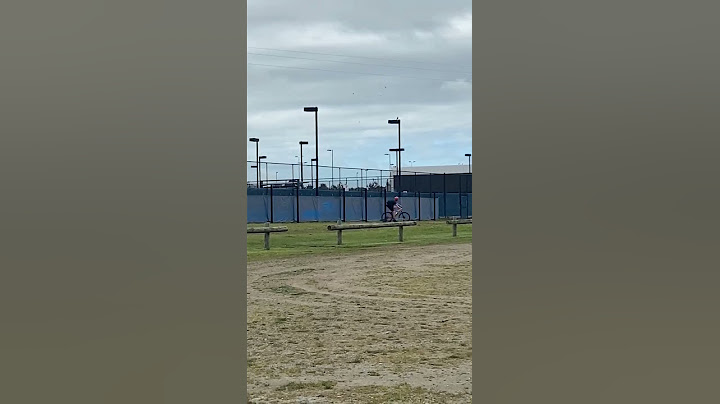 Guys next time I'm going to find a new magpie (an agressive one) 😅