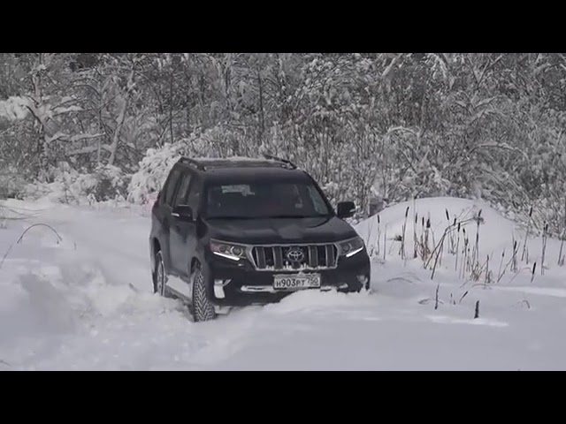 Toyota Fortuner vs Land Cruiser Prado