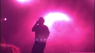 Pig Destroyer | First 5 minutes of Prowler In The Yard | Live at Decibel Metal and Beer Fest 2021