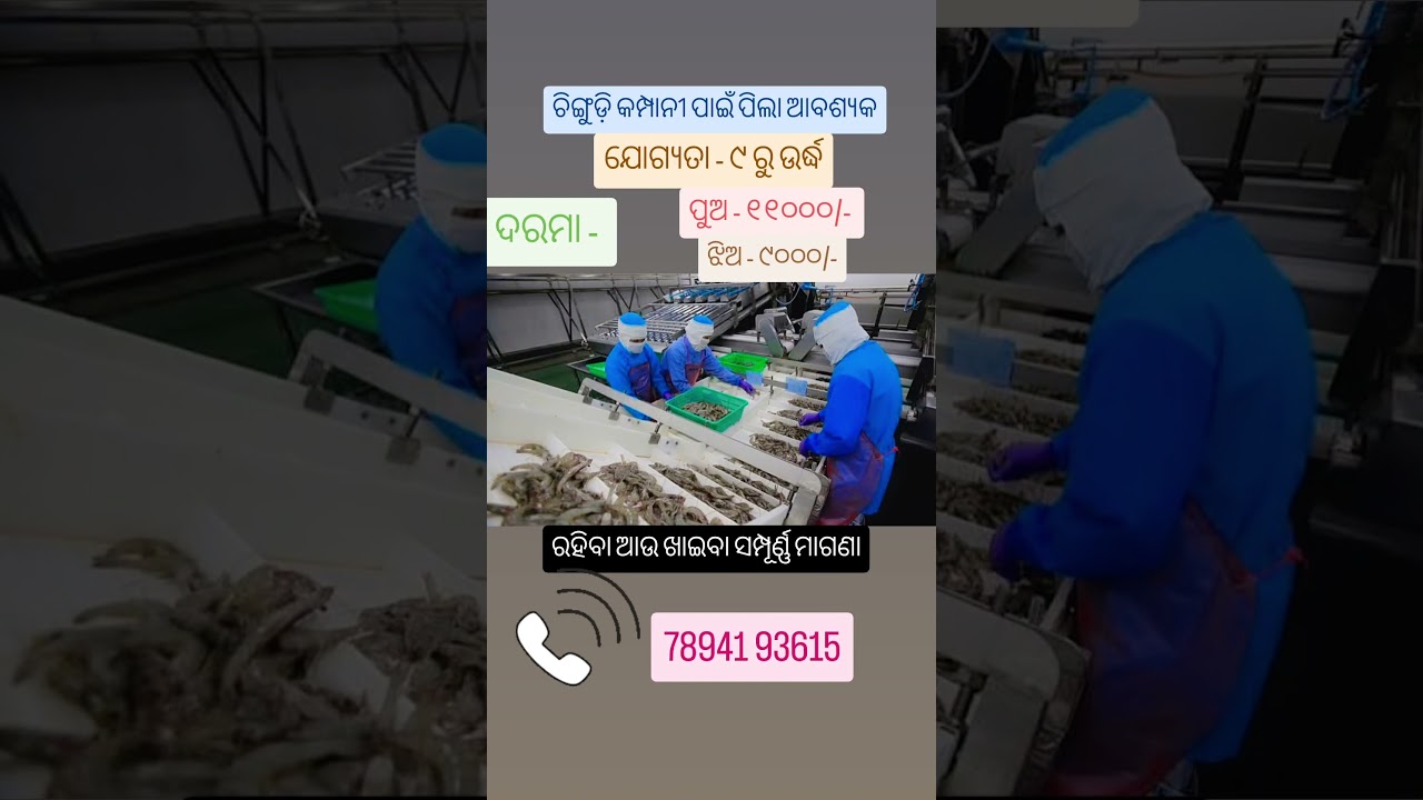 Prawn | Chingudi Factory Vacancy in Bhubaneswar Khordha 