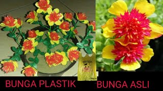 Cara membuat bunga krokot jambul kuning merah | how to make red-crested purslane flowers plastic bag