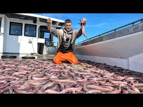 Fishing for MONSTERS in the deepest part of the ocean