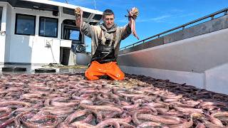 Fishing for MONSTERS in the deepest part of the ocean