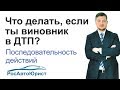 Что делать, если ты виновник в ДТП?