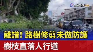 離譜！路樹修剪未做防護 樹枝直落人行道