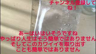 熱さまシートを水にいれたらとんでもない事が！