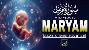 Surah Maryam سورة مريم | Pregnant Mother Must Listen | Beautiful Quran Reaction | Exalted Ayah