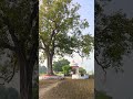 #love #shorts #viral #viralvideo #video #viralshorts #shortvideos #youtubeshorts #subscribe #love