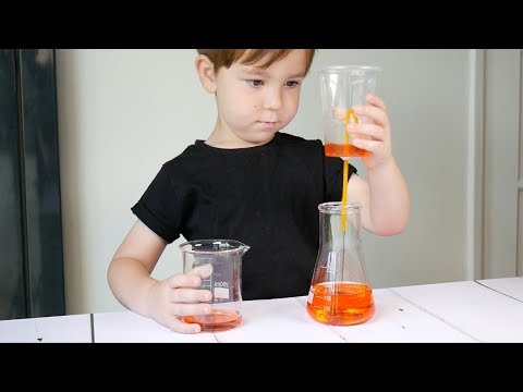 How To Make A Pythagoras Cup   Kids Science