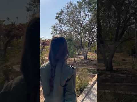 اغنية كردية حزينة حالات واتس اب كردي حزين اغاني كردية حزين 2024 اغاني كردية