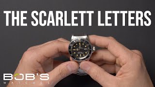 Watch in the Box Episode 8 | Bob's Watches Update