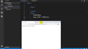 [서기의 html 강의] 2. html, visual studio code, live server, 개발환경 세팅하기