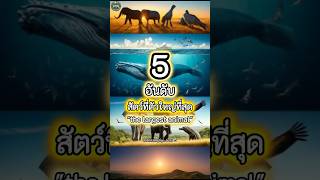 5 อันดับ สัตว์ที่ตัวใหญ่ที่สุด